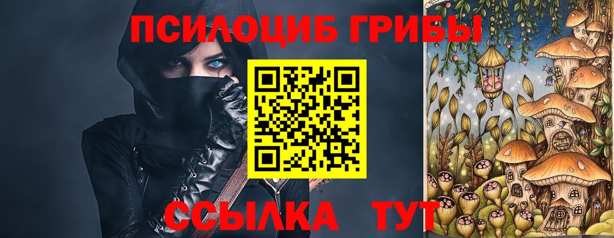 Галлюциногенные грибы Psilocybine cubensis Чапаевск