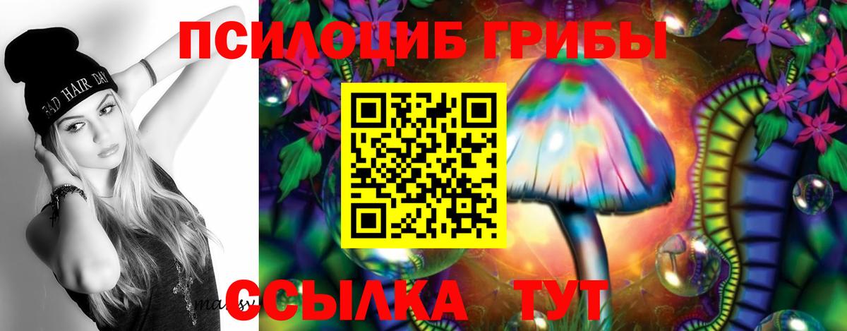 цена   Псилоцибиновые грибы MAGIC MUSHROOMS  Вход с VPN  Чапаевск 